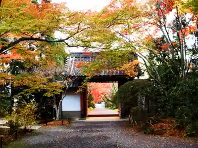 常照寺(京都府)