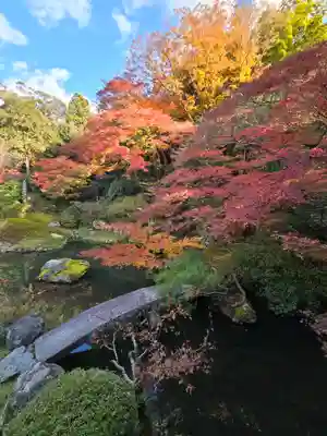 青蓮院門跡(京都府)