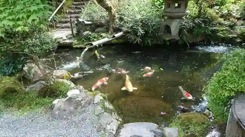 一條殿 新善光寺(京都府)