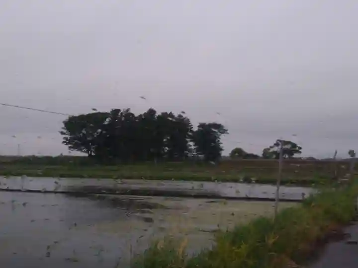 神社(名称不明)の周辺