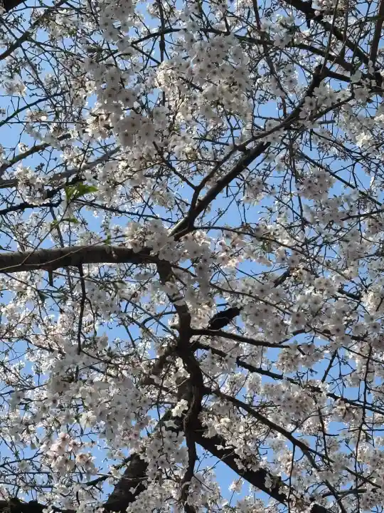日枝神社の{uncategorized: "未分類", other: "その他", undefined: "問題あり", building: "その他建物", grave: "お墓", sacred_gate: "鳥居", guardian: "狛犬", statue: "像", buddha: "仏像", history: "歴史", nature: "自然", garden: "庭園", animal: "動物", pagoda: "塔", temizu: "手水舎", mountain_gate: "山門・神門", sanctuary: "本殿・本堂", subordinate: "末社・摂社", art: "芸術", scenery: "景色", jizo: "地蔵", ema: "絵馬", goshuin: "御朱印", omikuji: "おみくじ", items: "授与品その他", amulet: "お守り", goshuincho: "御朱印帳", eats: "食事", festival: "お祭り", votive_dance: "神楽", shichigosan: "七五三参", wedding: "結婚式", experience: "体験その他", initially: "初詣", around: "周辺", anti_infection: "感染症対策"}