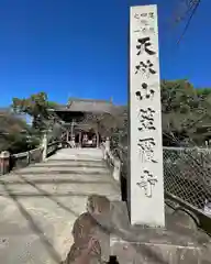 笠覆寺 (笠寺観音)(愛知県)