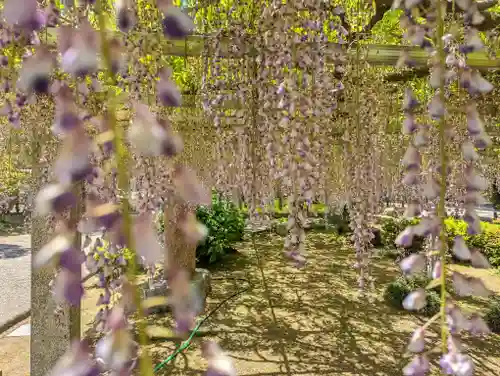 三大神社(滋賀県)