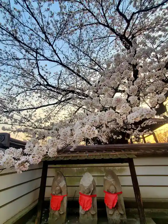 如宝寺(福島県)