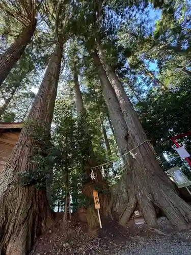 坪沼八幡神社(宮城県)