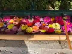 伊和志津神社の手水