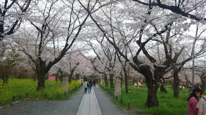 平野神社(京都府)