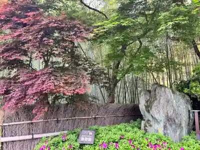 華厳寺(鈴虫寺)(京都府)
