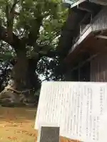 川津来宮神社(静岡県)