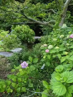  智積院(京都府)