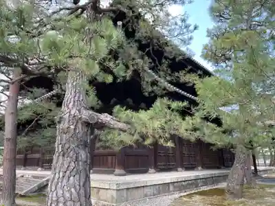 大徳寺(京都府)