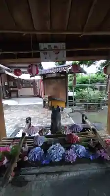 駒形神社の手水舎