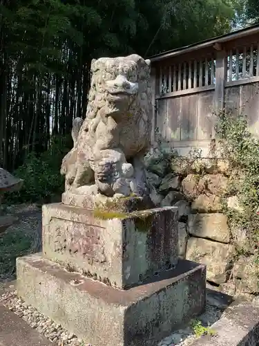 子安神社（勝原）の狛犬