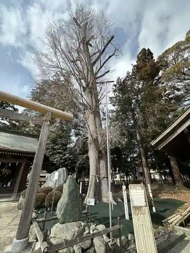 深見神社(神奈川県)