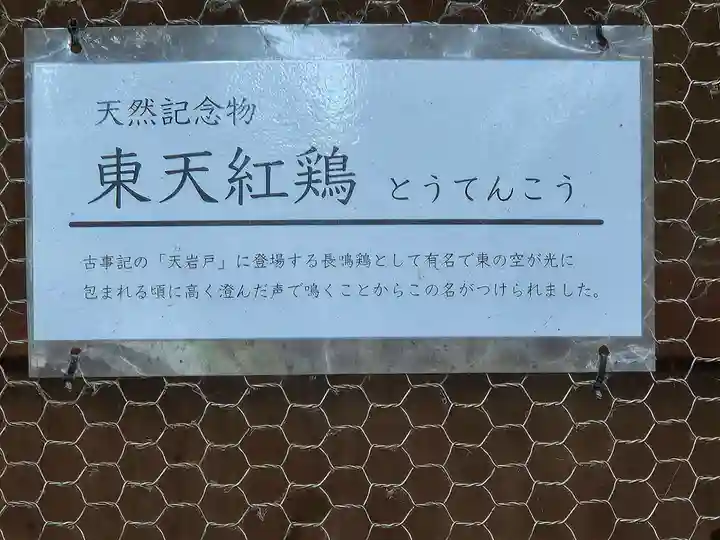 大甕神社(茨城県)