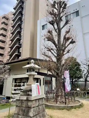 千束稲荷神社の{uncategorized: "未分類", other: "その他", undefined: "問題あり", building: "その他建物", grave: "お墓", sacred_gate: "鳥居", guardian: "狛犬", statue: "像", buddha: "仏像", history: "歴史", nature: "自然", garden: "庭園", animal: "動物", pagoda: "塔", temizu: "手水舎", mountain_gate: "山門・神門", sanctuary: "本殿・本堂", subordinate: "末社・摂社", art: "芸術", scenery: "景色", jizo: "地蔵", ema: "絵馬", goshuin: "御朱印", omikuji: "おみくじ", items: "授与品その他", amulet: "お守り", goshuincho: "御朱印帳", eats: "食事", festival: "お祭り", votive_dance: "神楽", shichigosan: "七五三参", wedding: "結婚式", experience: "体験その他", initially: "初詣", around: "周辺", anti_infection: "感染症対策"}