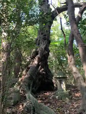 日枝神社(千葉県)