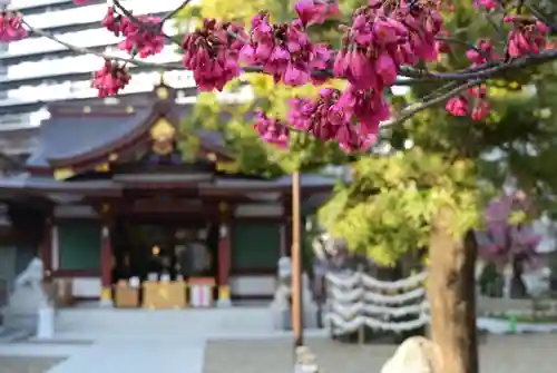 蒲田八幡神社の自然