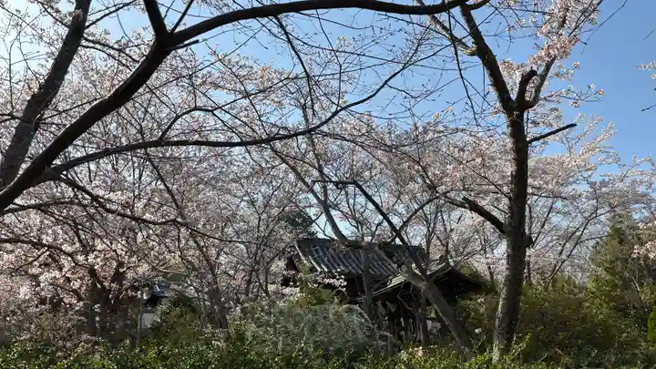 吉備津岡辛木神社(岡山県)