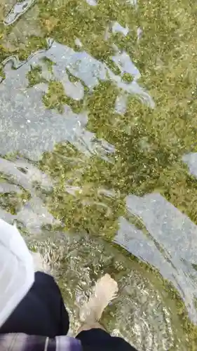 北野天満宮(京都府)