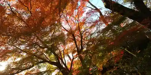 出雲大神宮の景色