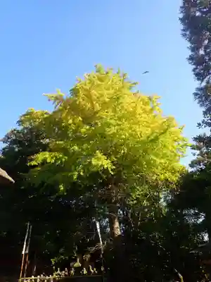 杉本寺(神奈川県)
