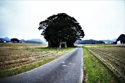 小原神社の周辺