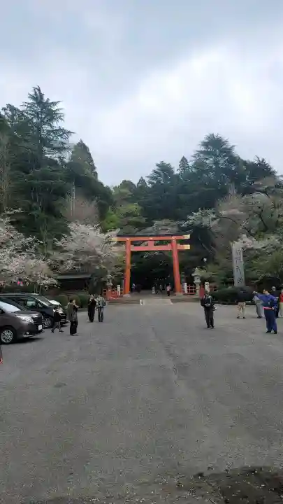 香取神宮の{uncategorized: "未分類", other: "その他", undefined: "問題あり", building: "その他建物", grave: "お墓", sacred_gate: "鳥居", guardian: "狛犬", statue: "像", buddha: "仏像", history: "歴史", nature: "自然", garden: "庭園", animal: "動物", pagoda: "塔", temizu: "手水舎", mountain_gate: "山門・神門", sanctuary: "本殿・本堂", subordinate: "末社・摂社", art: "芸術", scenery: "景色", jizo: "地蔵", ema: "絵馬", goshuin: "御朱印", omikuji: "おみくじ", items: "授与品その他", amulet: "お守り", goshuincho: "御朱印帳", eats: "食事", festival: "お祭り", votive_dance: "神楽", shichigosan: "七五三参", wedding: "結婚式", experience: "体験その他", initially: "初詣", around: "周辺", anti_infection: "感染症対策"}