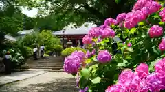 矢田寺の建物その他