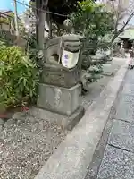 菊田神社の狛犬