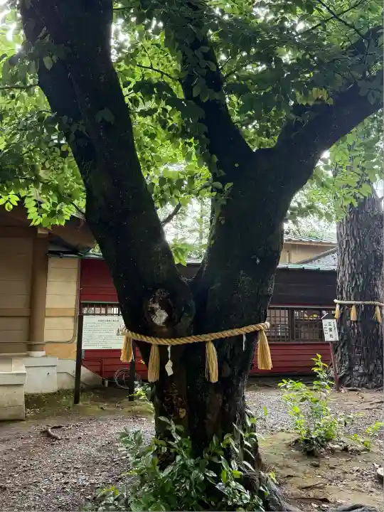 前原御嶽神社(千葉県)