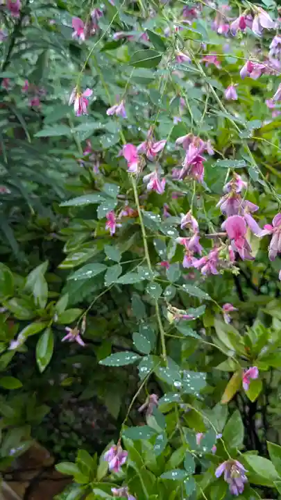 檀王法林寺(栴檀王院無上法林寺)(京都府)