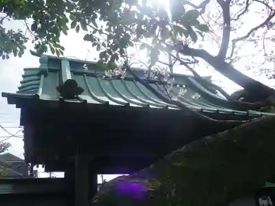 教恩寺の山門・神門