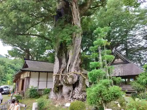 天引八幡神社(京都府)