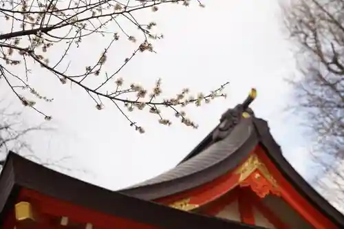 花園神社の自然