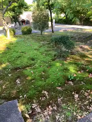 安樂壽院の自然