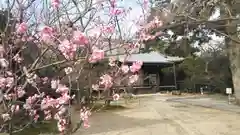 光明寺（粟生光明寺）の建物その他