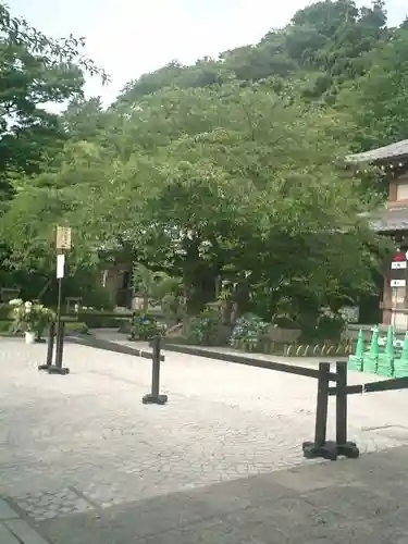 長谷寺のその他建物