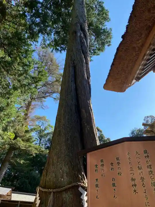 豊受大神社(京都府)
