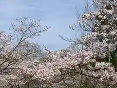 草谷天神社の自然