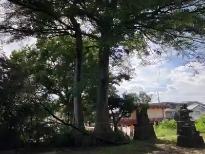 氷川台氷川神社(東京都)