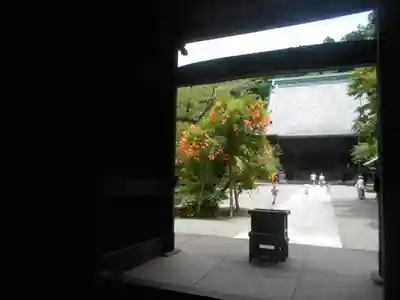 妙本寺の山門・神門