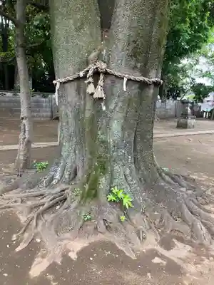 和田稲荷神社(東京都)