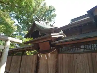 松戸神社の本殿・本堂