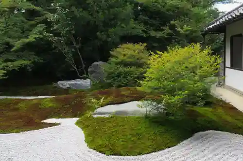 西来院(京都府)