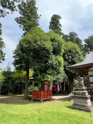 鏡石鹿嶋神社 ＊安産・開運・勝利の神さま＊(福島県)