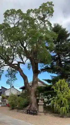菅原天満宮（菅原神社）(奈良県)