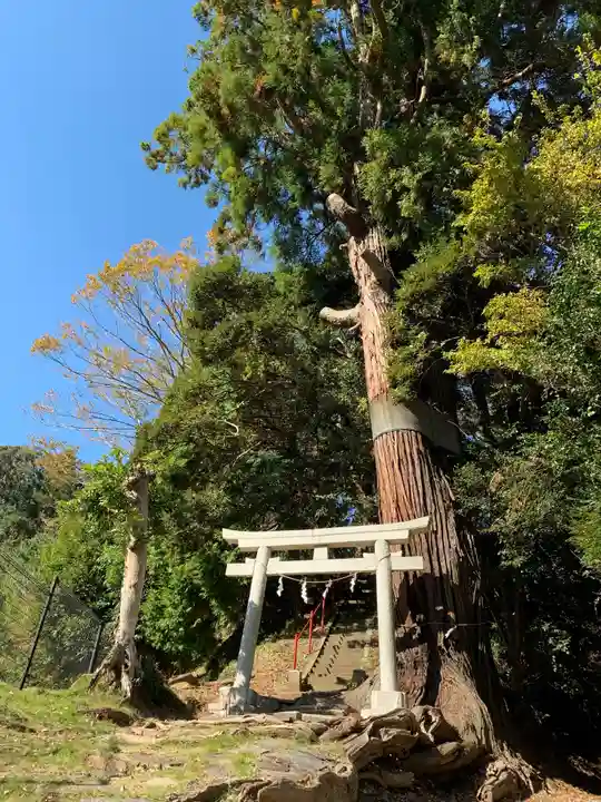 十二所神社の鳥居