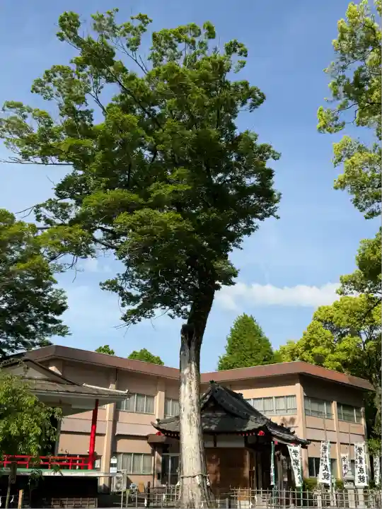 米之宮浅間神社(静岡県)