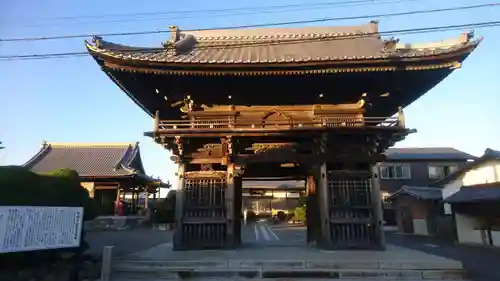 常観寺の山門